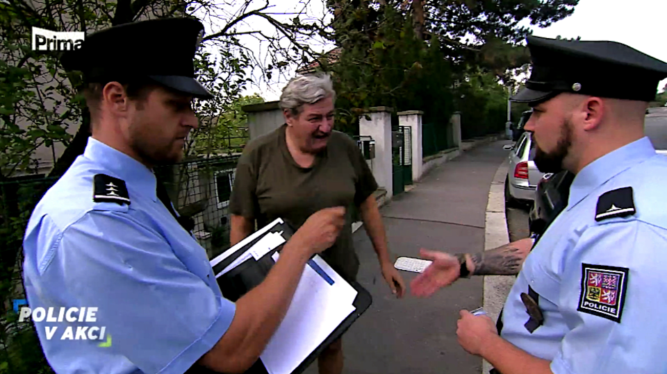 Policie v akci II - Vysněný soused